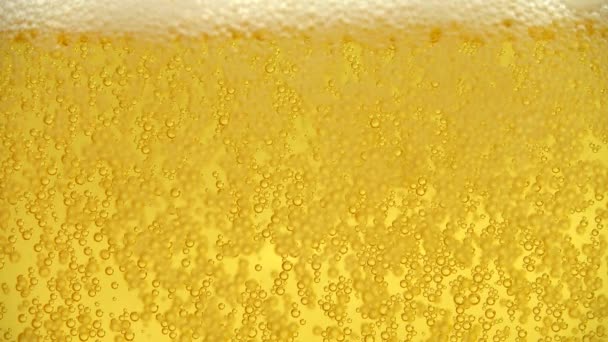 Bicchiere Birra Con Bollicine — Video Stock
