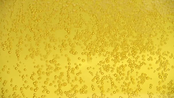 Glass Beer Bubbles — Stock Video