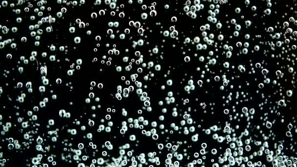 固定水の気泡 — ストック動画