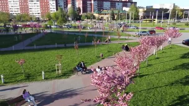 Lviv Ucrânia Maio 2021 Vista Aérea Drone Voando Sobre Flores — Vídeo de Stock