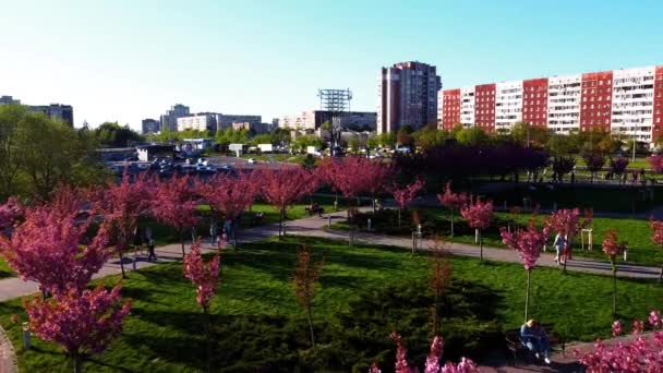 Lviv Ucraina Maggio 2021 Veduta Aerea Drone Che Sorvola Fiori — Video Stock