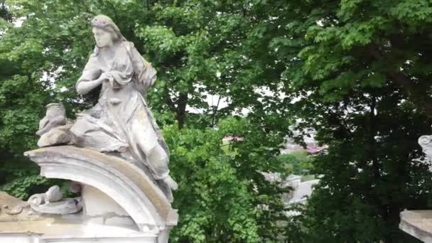 Flygdrönare Syn Flygande Över Staketet Den Katolska Katedralen George Lviv — Stockvideo