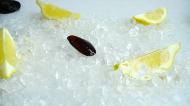 Buza düşen midyeler. Yavaş çekim.