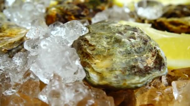 Oesters Ijs Een Roterende Plank — Stockvideo