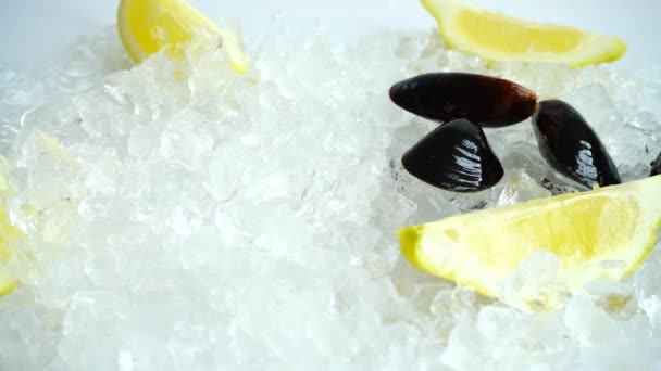 Moules Tombantes Sur Glace Mouvement Lent — Video