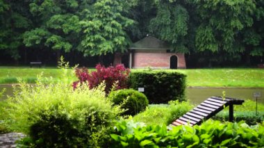 Parktaki yağmur, arka plandaki ağaçlara karşı. Yağmur damlaları ıslak asfalta düşer. Yavaş çekim.