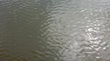 Sudaki dalgalanmalar. Güneş ışınlarının yansıması.