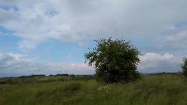 Kır manzarası. Otoyolda ilerleyen bir arabadan ateş ediliyor..