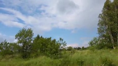 Kır manzarası. Otoyolda ilerleyen bir arabadan ateş ediliyor..