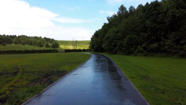 Die Straße Nach Dem Regen Landschaften Stromleitungen Wald Und Feld — Stockvideo