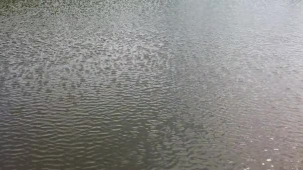 水里的裂痕 太阳光的反射 — 图库视频影像