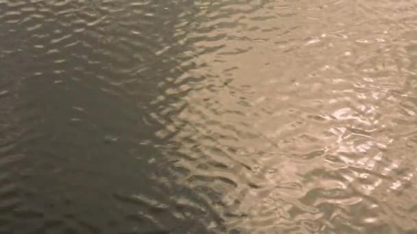 Ondas Agua Reflejo Los Rayos Del Sol — Vídeo de stock