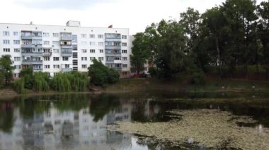 Yazın şehir göleti. Akşamları çekim..