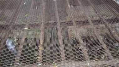 Şehir göletinin üzerindeki demir köprü.