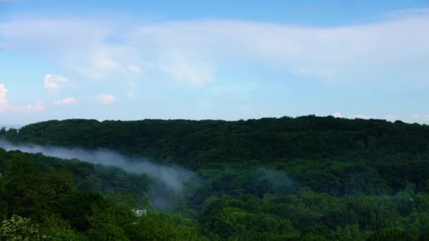 Vapor Después Lluvia Sobre Bosque Caducidad — Vídeos de Stock