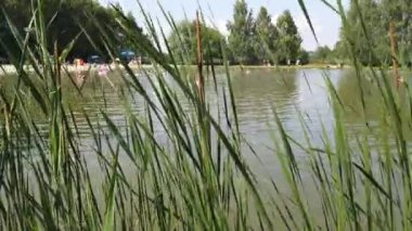 İnsanlar orman gölünde yüzer..