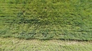 Kırsal tarım arazisinin üzerinde uçan bir dron görüntüsü.