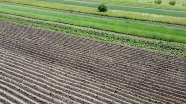 Kırsal tarım arazisinin üzerinde uçan bir dron görüntüsü.