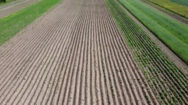 Kırsal tarım arazisinin üzerinde uçan bir dron görüntüsü.