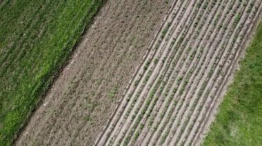 Kırsal tarım arazisinin üzerinde uçan bir dron görüntüsü.