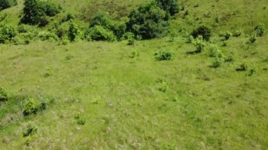 Kırsal tarım arazisinin üzerinde uçan bir dron görüntüsü.