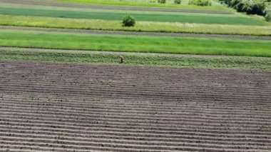 Kırsal tarım arazisinin üzerinde uçan bir dron görüntüsü.