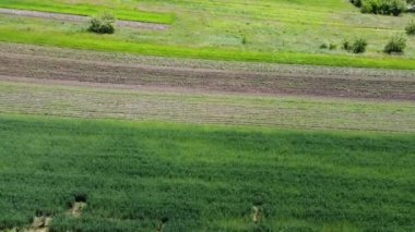 Kırsal tarım arazisinin üzerinde uçan bir dron görüntüsü.