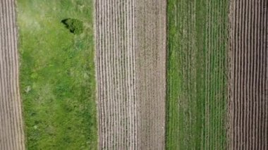 Kırsal tarım arazisinin üzerinde uçan bir dron görüntüsü.