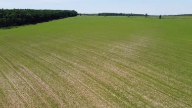 Kırsal tarım arazisinin üzerinde uçan bir dron görüntüsü.