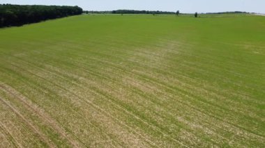 Kırsal tarım arazisinin üzerinde uçan bir dron görüntüsü.
