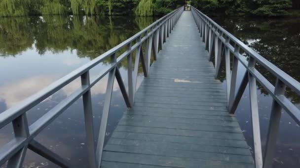 Ponte Madeira Sobre Lago — Vídeo de Stock