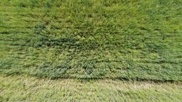 Vista Aérea Drone Voo Sobre Paisagem Agrícola Rural — Vídeo de Stock
