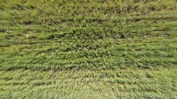 Vista Aérea Drone Voo Sobre Paisagem Agrícola Rural — Vídeo de Stock