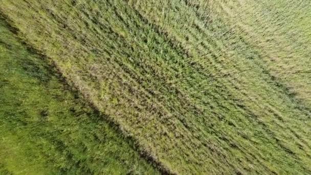 Vista Aérea Del Avión Tripulado Vuelo Sobre Paisaje Agrícola Rural — Vídeo de stock