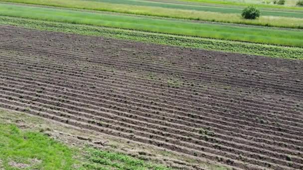 Vista Aérea Drone Voo Sobre Paisagem Agrícola Rural — Vídeo de Stock