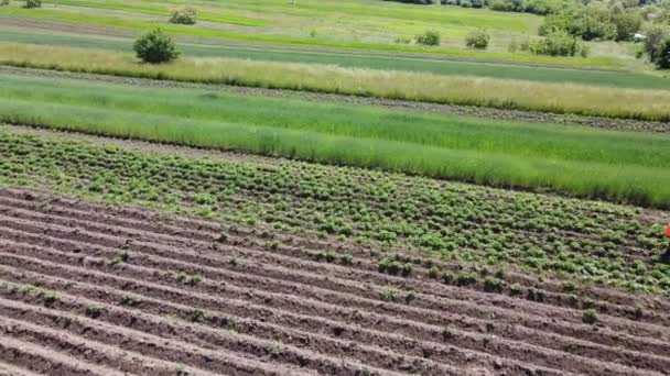 Vue Aérienne Drone Survolant Paysage Agricole Rural — Video