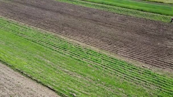 空中无人驾驶飞机俯瞰农村农业景观 — 图库视频影像