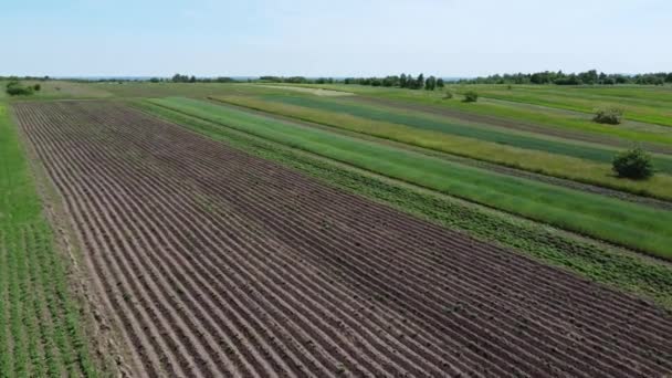 Vue Aérienne Drone Survolant Paysage Agricole Rural — Video