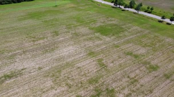 Vista Aérea Drone Voo Sobre Paisagem Agrícola Rural — Vídeo de Stock