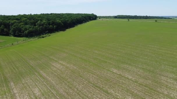 Vista Aérea Drone Voo Sobre Paisagem Agrícola Rural — Vídeo de Stock