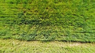 Kırsal tarım arazisinin üzerinde uçan bir dron görüntüsü.