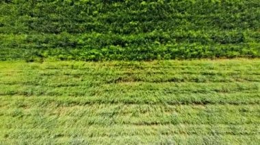 Kırsal tarım arazisinin üzerinde uçan bir dron görüntüsü.
