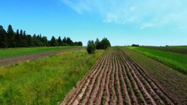 Kırsal tarım arazisinin üzerinde uçan bir dron görüntüsü.