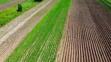 Kırsal tarım arazisinin üzerinde uçan bir dron görüntüsü.