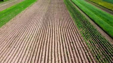 Kırsal tarım arazisinin üzerinde uçan bir dron görüntüsü.