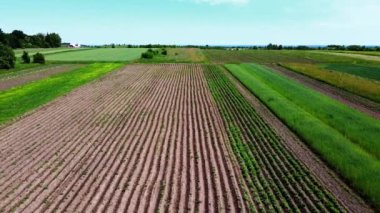 Kırsal tarım arazisinin üzerinde uçan bir dron görüntüsü.