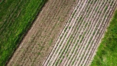 Kırsal tarım arazisinin üzerinde uçan bir dron görüntüsü.