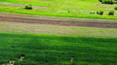 Kırsal tarım arazisinin üzerinde uçan bir dron görüntüsü.