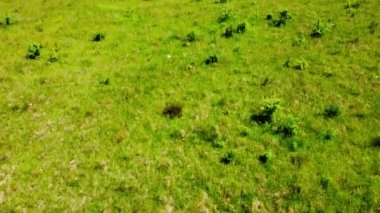 Kırsal tarım arazisinin üzerinde uçan bir dron görüntüsü.