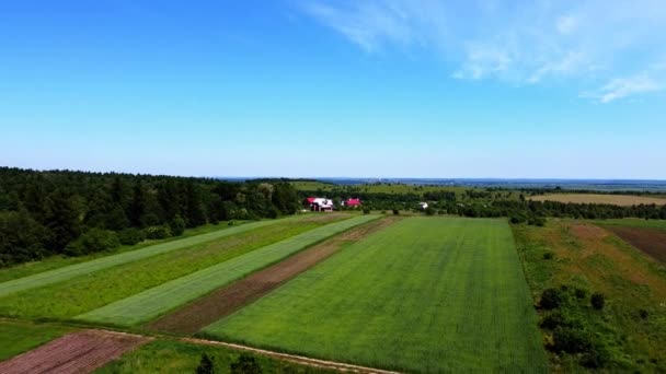 Vista Aérea Del Avión Tripulado Vuelo Sobre Paisaje Agrícola Rural — Vídeo de stock